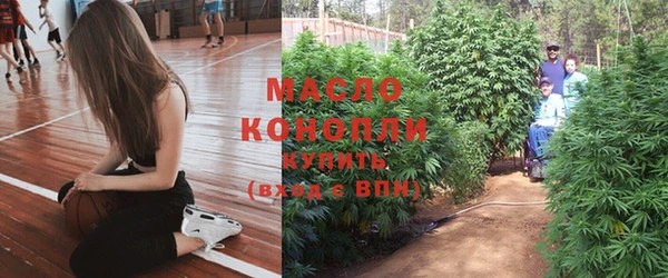 прущие грибы Нягань
