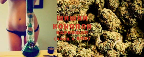 мдпв Новодвинск