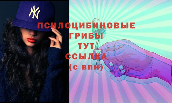 тгк Осташков