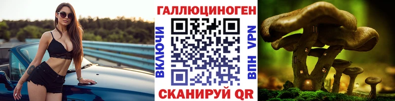 Псилоцибиновые грибы мухоморы блэк спрут вход это состав Калач
